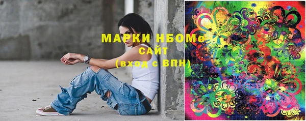 шишки Аркадак