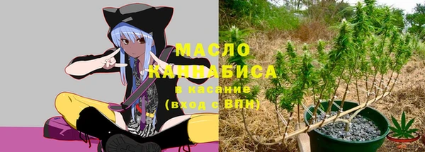 шишки Аркадак