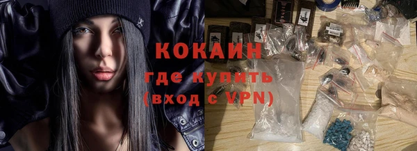 шишки Аркадак