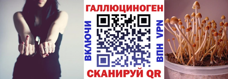 кракен зеркало  Сковородино  Галлюциногенные грибы прущие грибы 